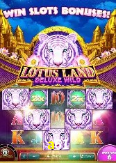 Casino Ao Vivo a61